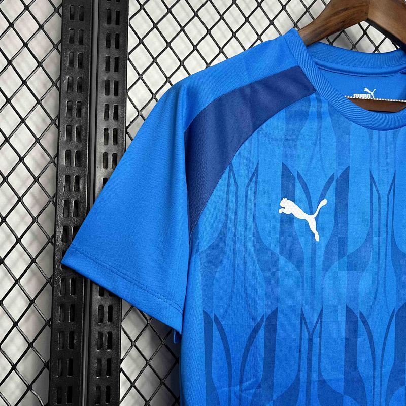Camiseta Palmeiras Pre-Partido 24/25