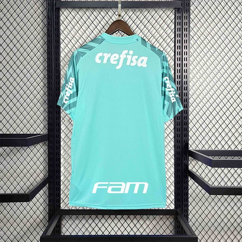 Palmeiras Green Jersey 24/25