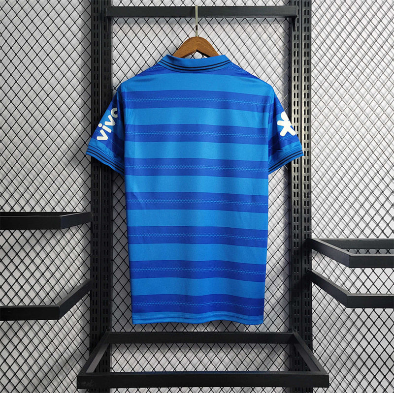 Polo Brazil stripe 25/26
