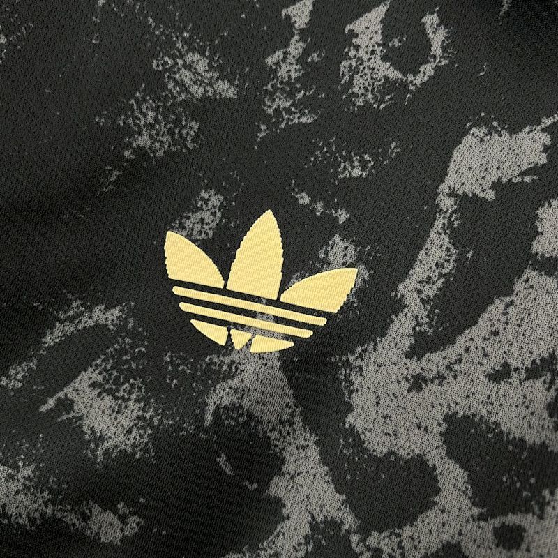 Maillot Ajax Édition spéciale 24/25