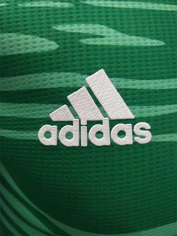 Maillot Algérie Extérieur 25/26