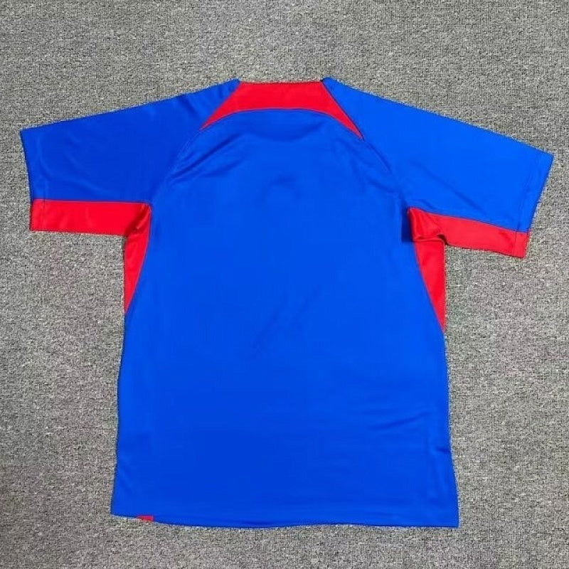 Maillot Slovakia UEFA Euro Domicile 25/26