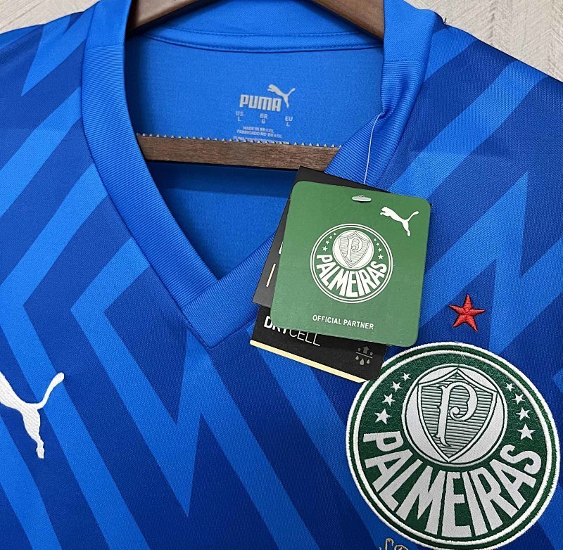Maillot Palmeiras Gardien 24/25