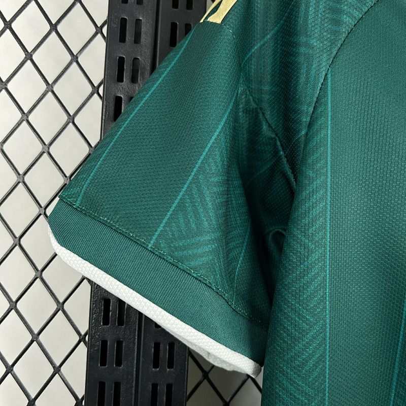 Maillot South Africa T Extérieur 25/26