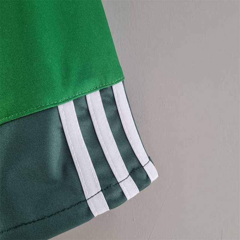 Camiseta Palmeiras 10/11