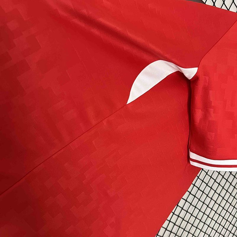 Maillot Denmark UEFA Euro Domicile 25/26