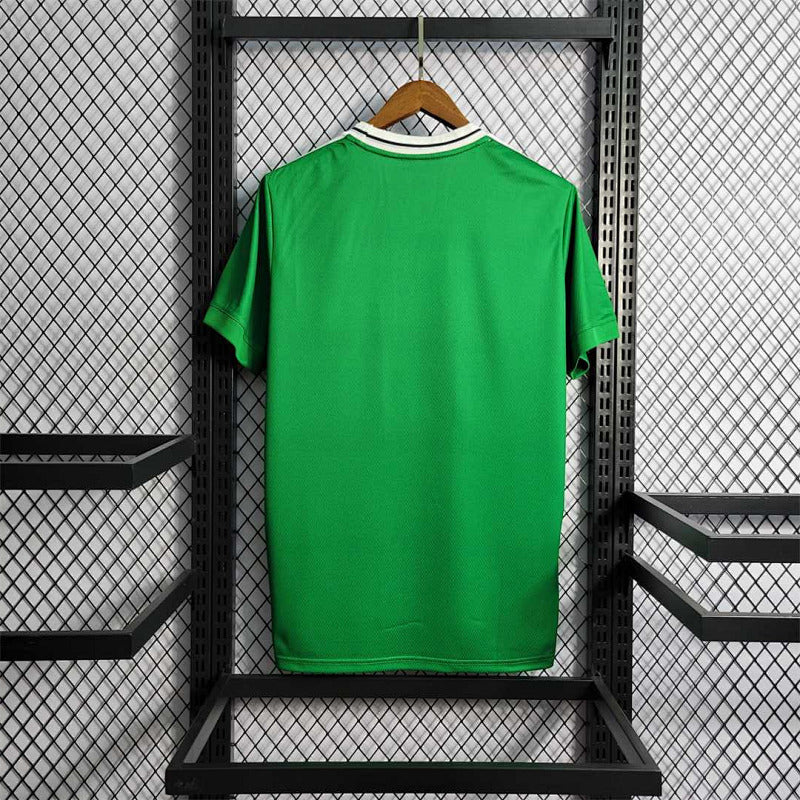 Maillot Northern Ireland Domicile 25/26