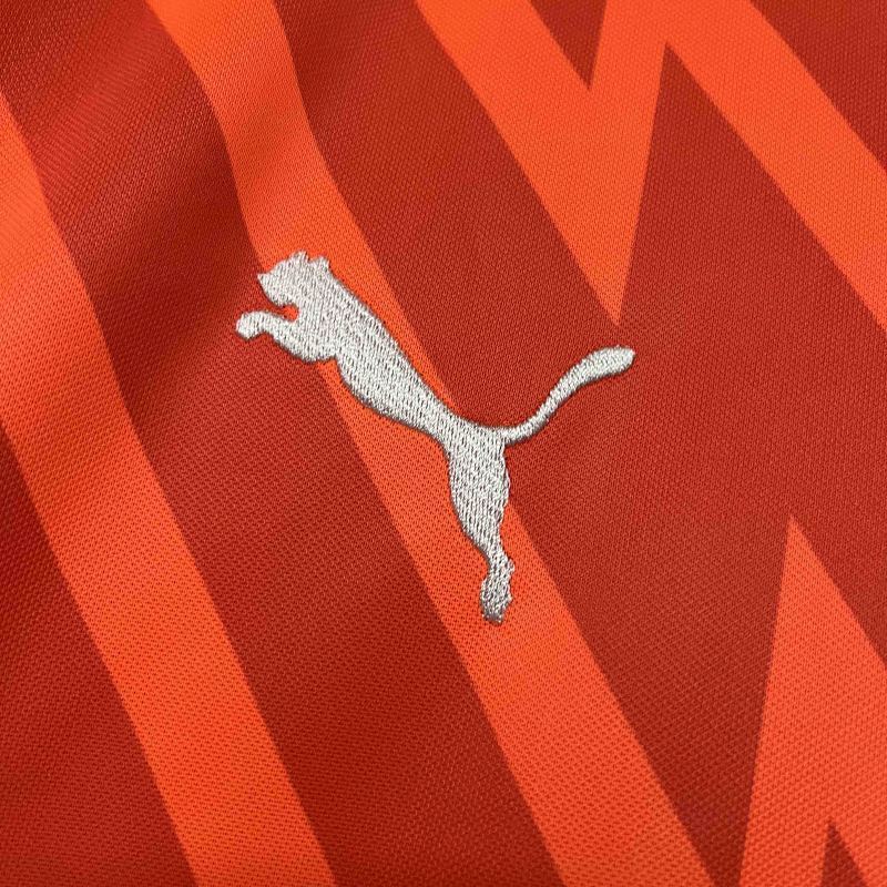 Palmeiras Orange Jersey 24/25