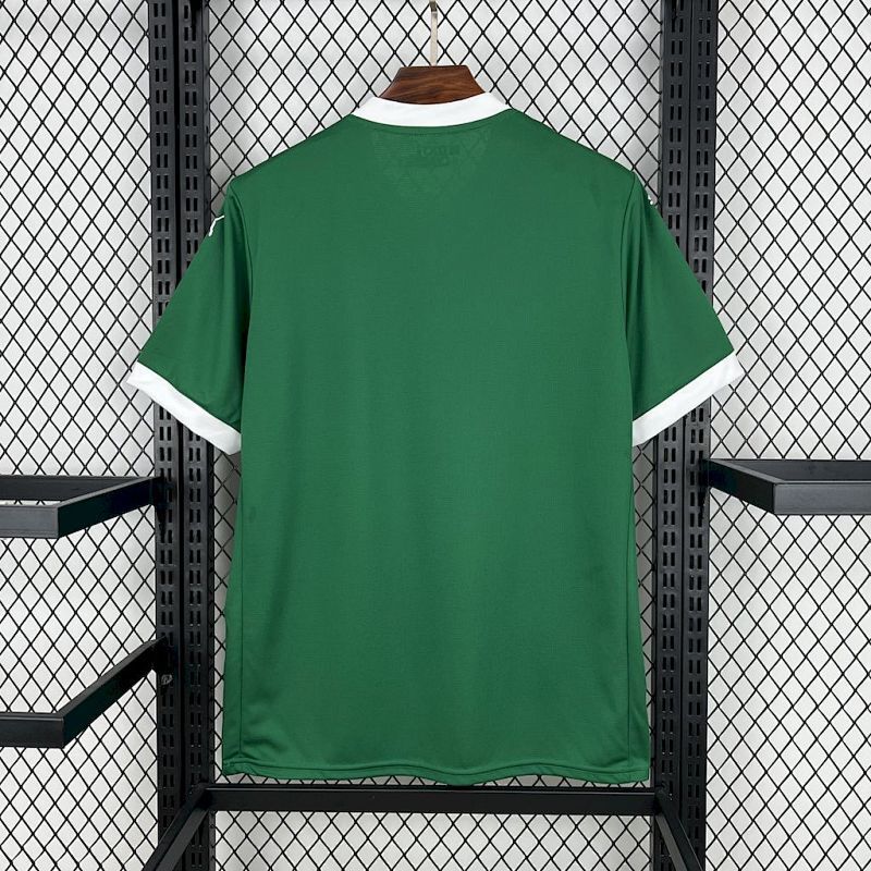 Camiseta Palmeiras Local 25/26