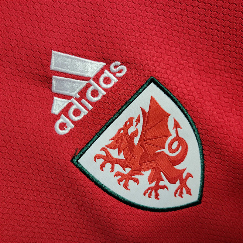 Pays de Galles Home Jersey 2022