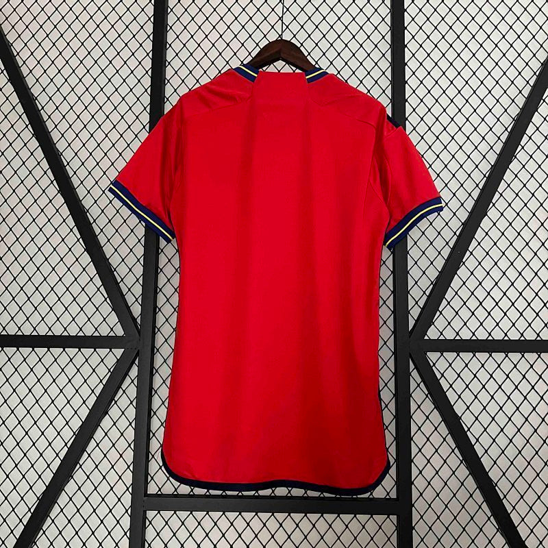 Spain Special Edition Jersey 2023