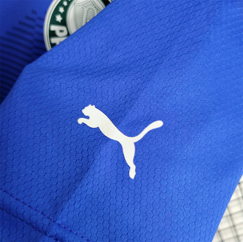 Maillot Palmeiras Gardien 23/24