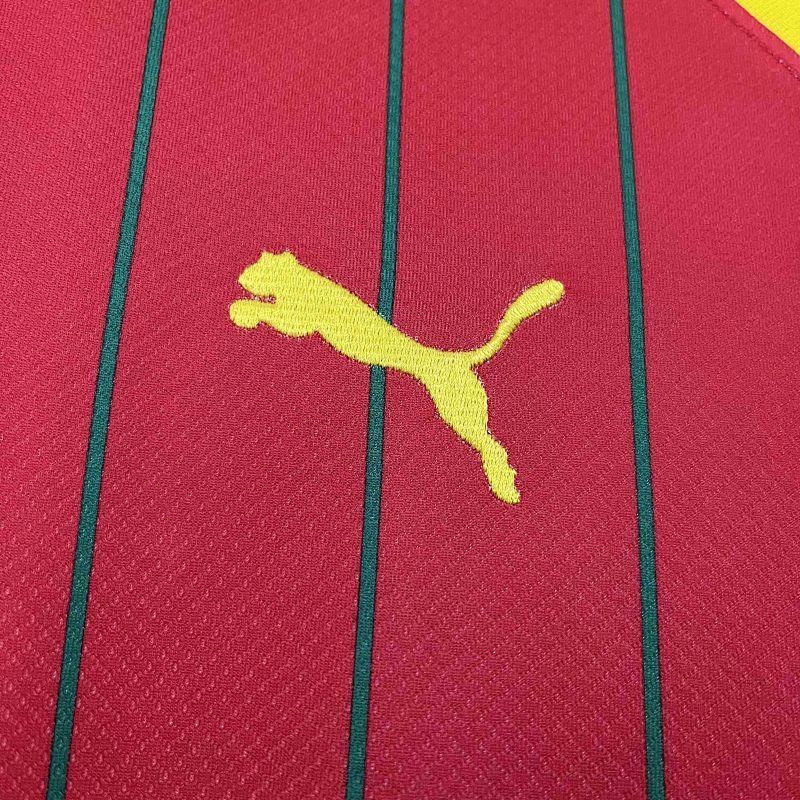 Maillot Guinea Cheap Domicile 25/26