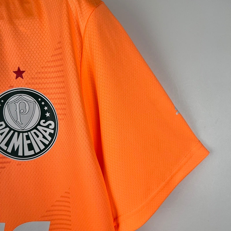Maillot Palmeiras Gardien 23/24