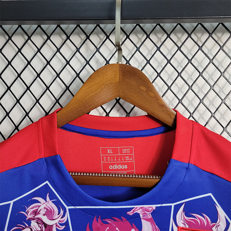 Maillot Japan Saint Édition spéciale 25/26