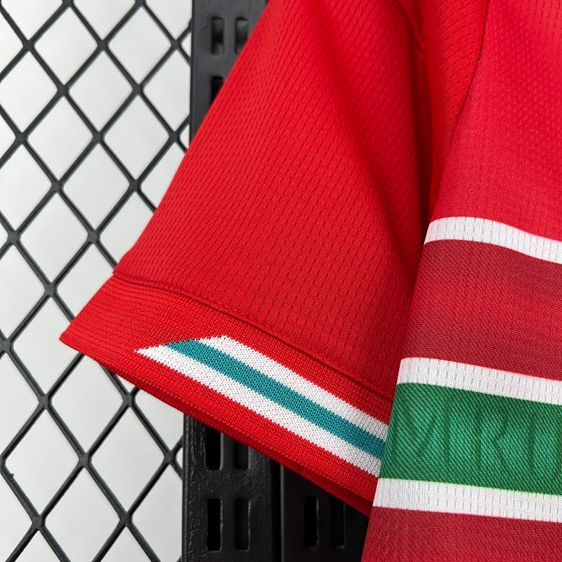 Pays de Galles Jersey 2026