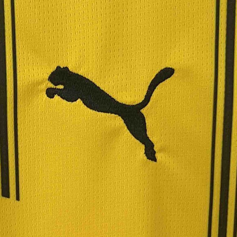 Maillot Borussia Dortmund Domicile 24/25