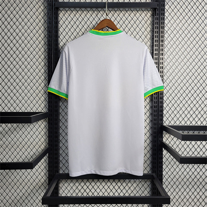 Maillot Brésil Pigeon Édition spéciale 25/26