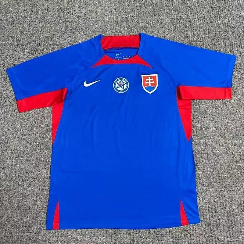 Maillot Slovaquie Domicile 25/26