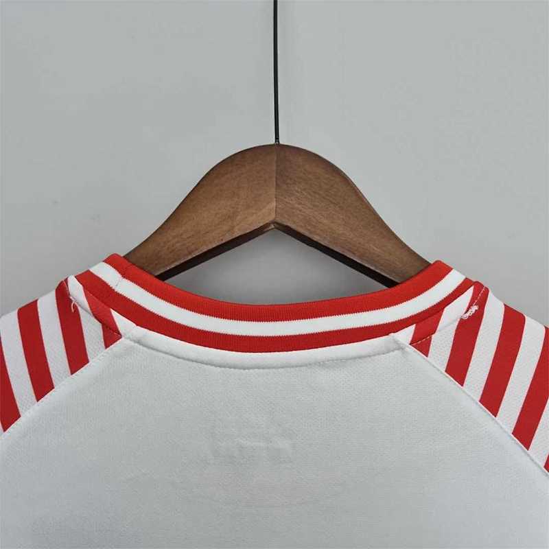 Maillot Danemark Hummel x 25/26