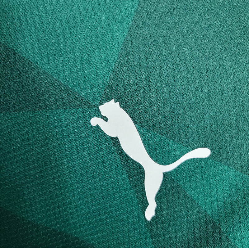 Maillot Palmeiras Domicile 23/24