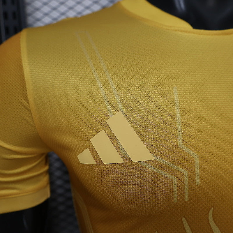 Maillot Argentina Golden T Édition spéciale Player Version 25/26