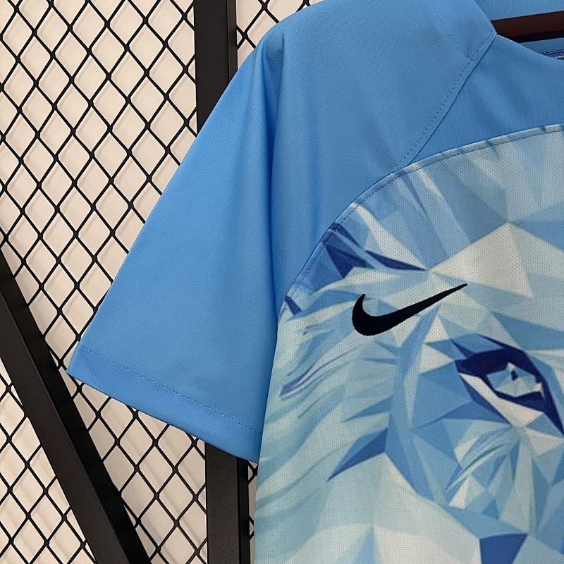 Maillot Netherlands Lion Édition spéciale 25/26