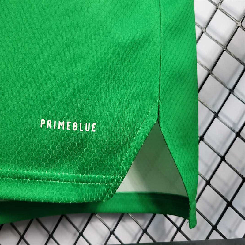 Maillot Northern Ireland Domicile 25/26