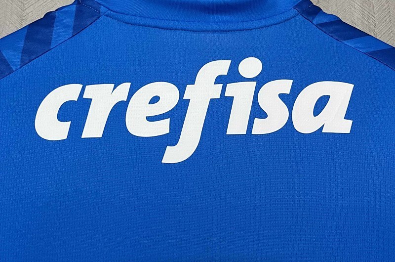 Maillot Palmeiras Gardien 24/25