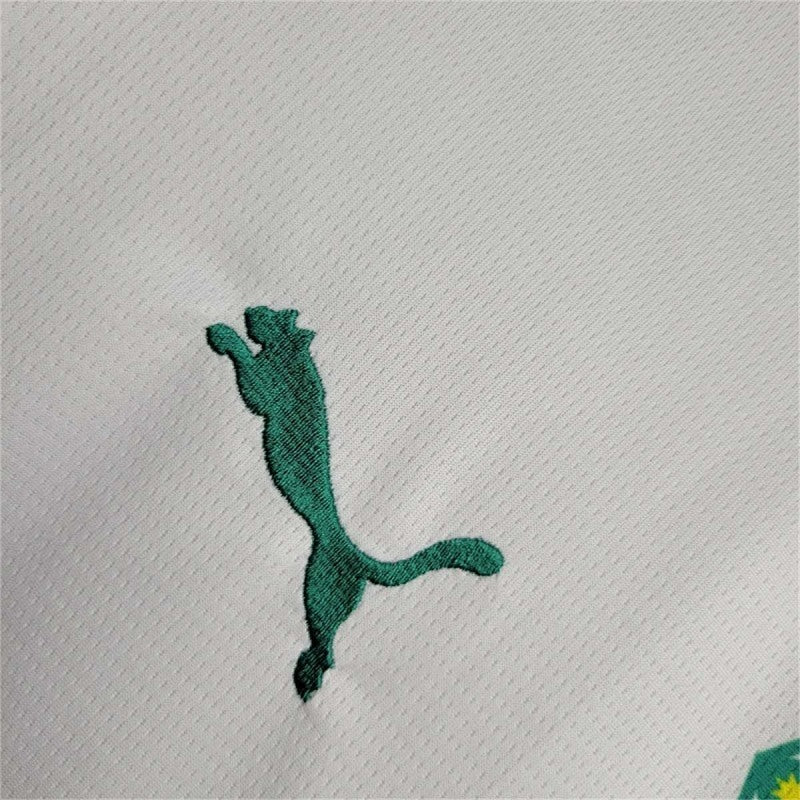 Maillot Sénégal Domicile 25/26