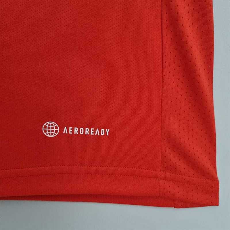Maillot International Domicile 22/23
