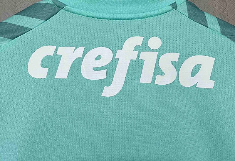 Palmeiras Green Jersey 24/25