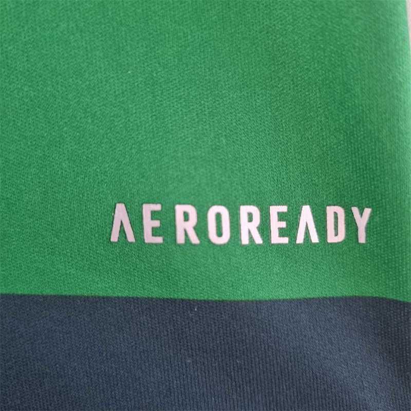 Camiseta Palmeiras 10/11