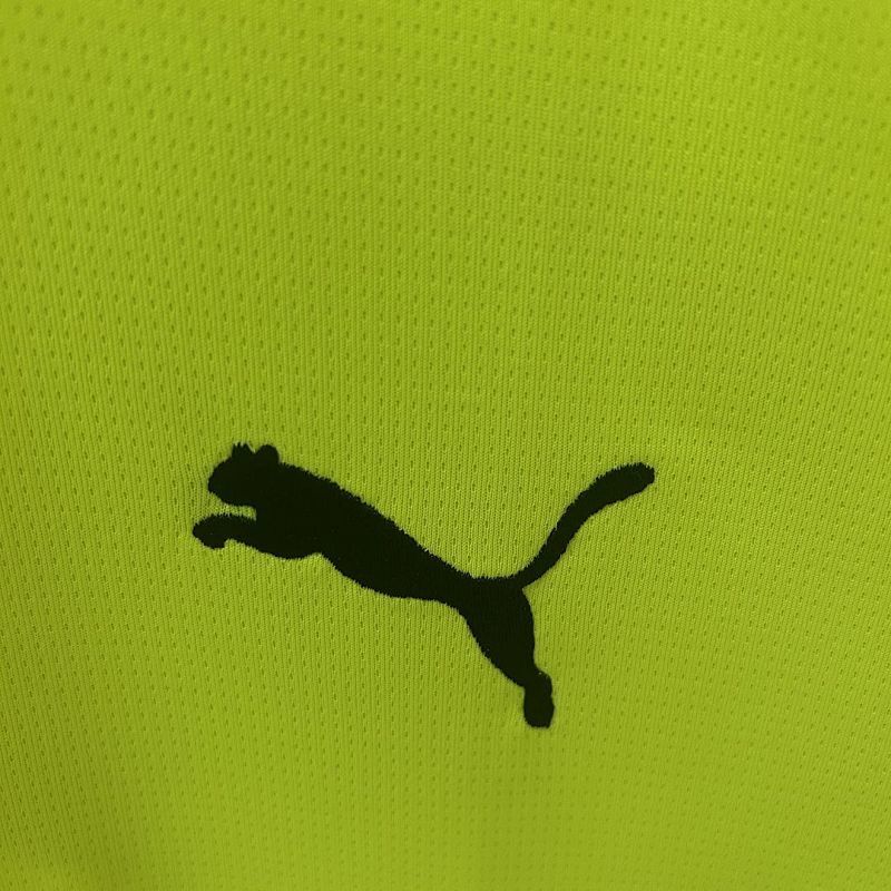 Camiseta Borussia Dortmund Verde Aniversario Verde Edición Especial 24/25