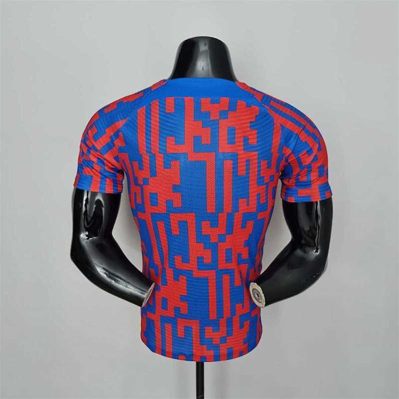 Camiseta FC Barcelona Pre-Partido 22/23