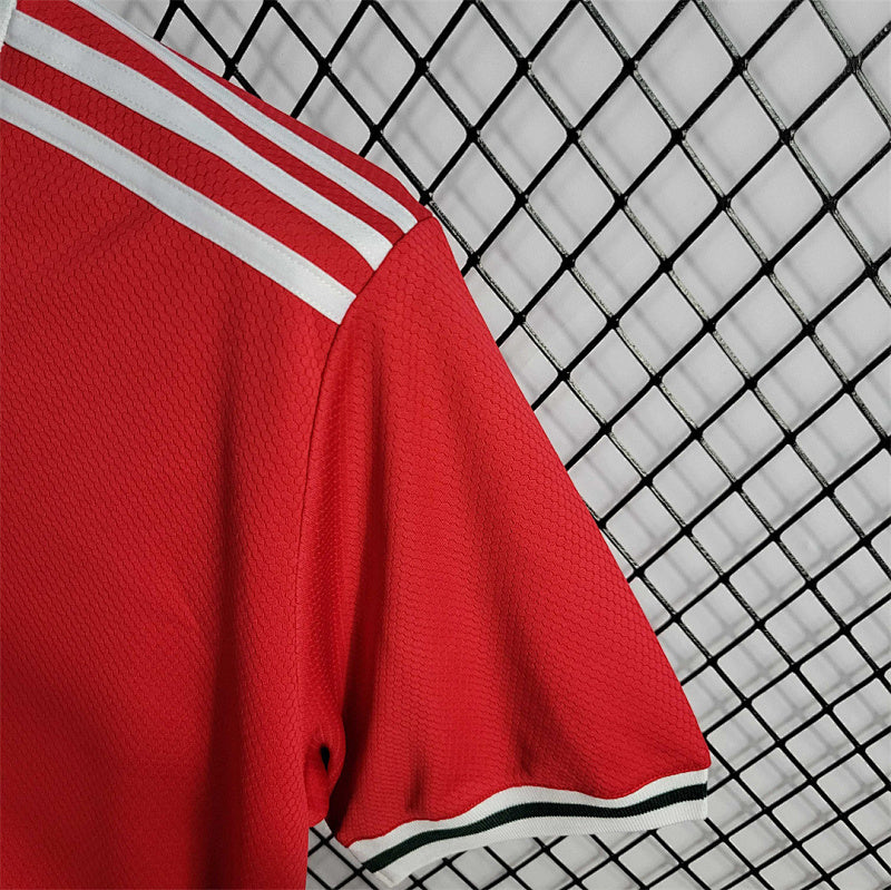 Pays de Galles Home Jersey 2022