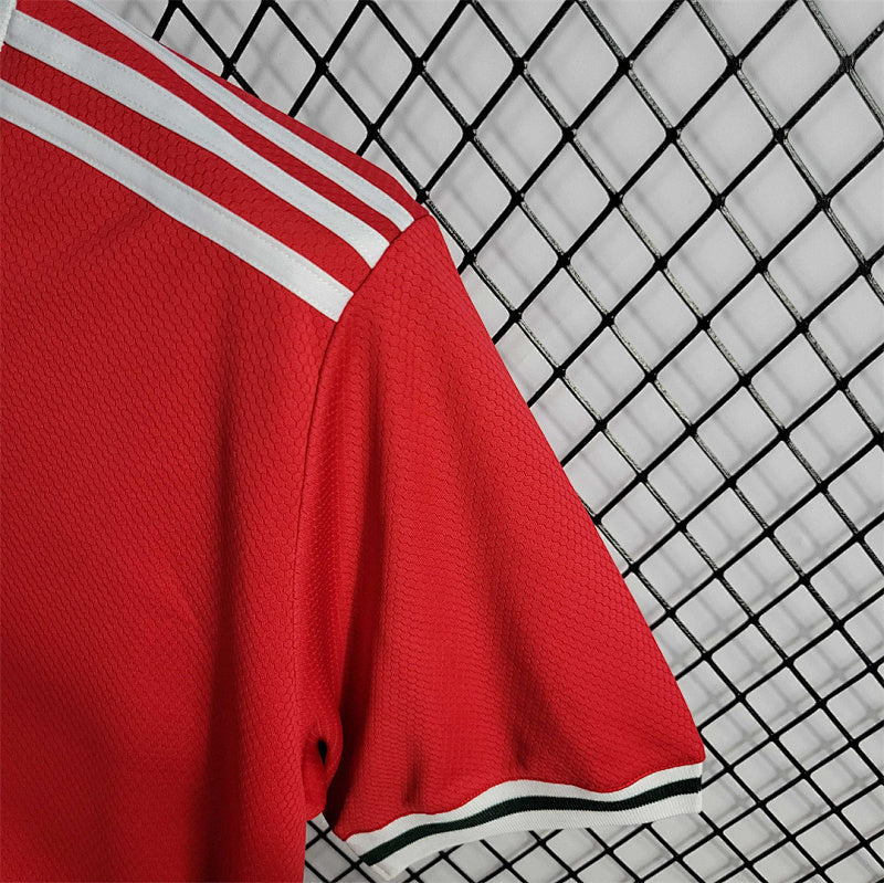 Maillot Pays de Galles Domicile 2022