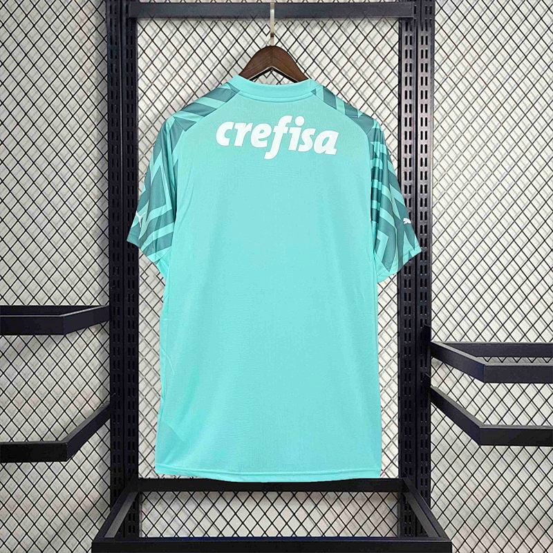Palmeiras Green Jersey 24/25