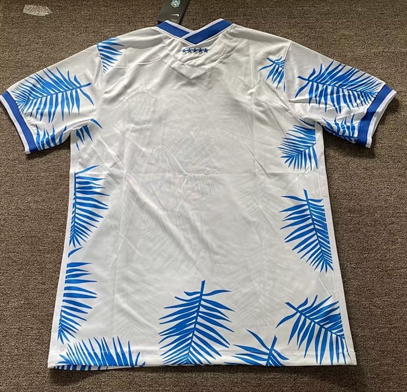 Maillot Brazil Édition spéciale 25/26