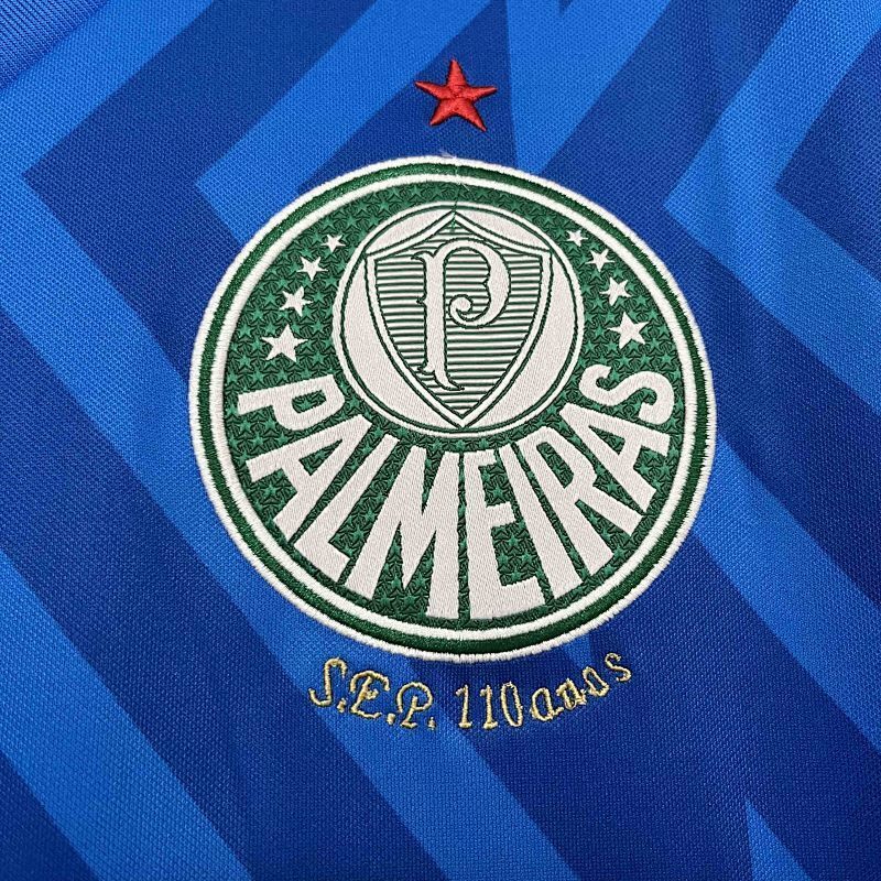 Maillot Palmeiras Gardien 24/25