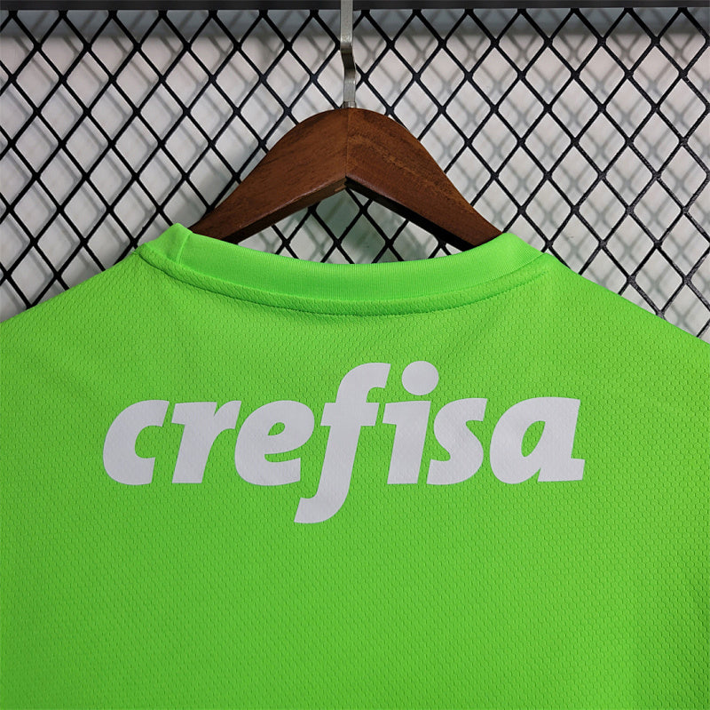 Palmeiras Green Jersey 23/24
