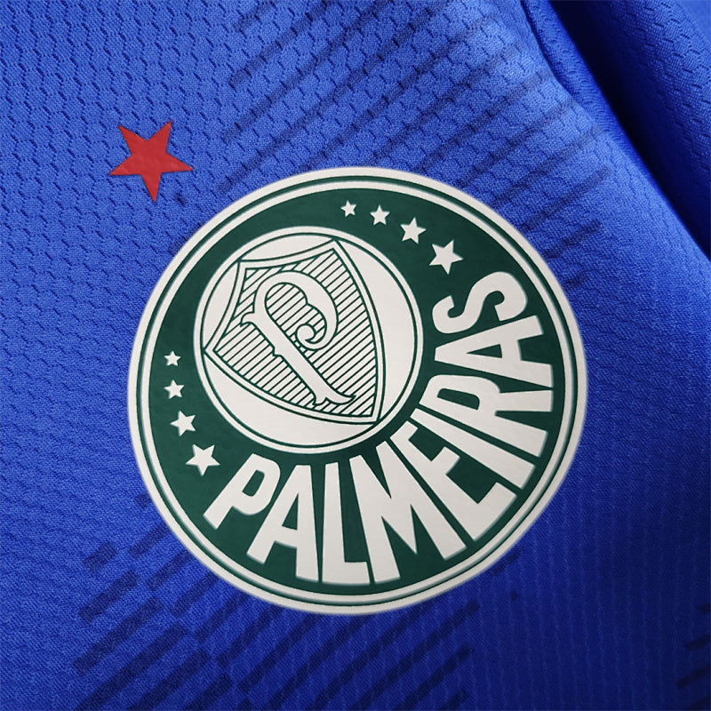 Maillot Palmeiras Gardien 23/24