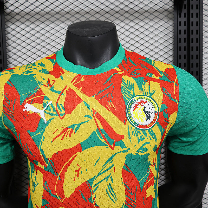 Maillot Côte d’Ivoire Prématch 24/25