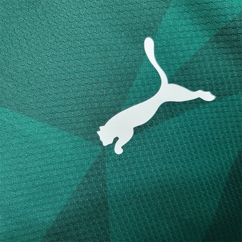 Camiseta Palmeiras Local 23/24
