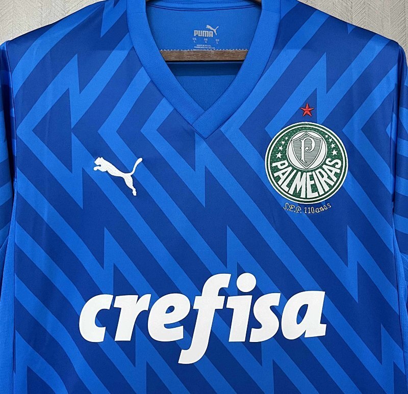 Maillot Palmeiras Gardien 24/25