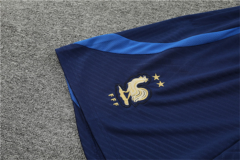 Conjunto Francia Pre-Partido 2022