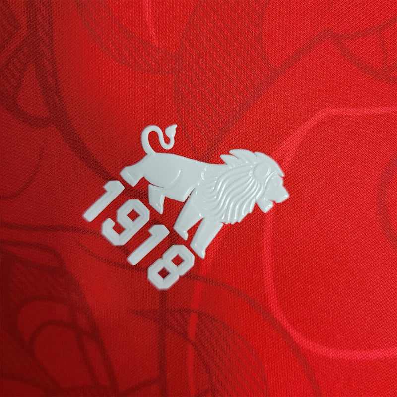 Maillot de football — photo du modèle